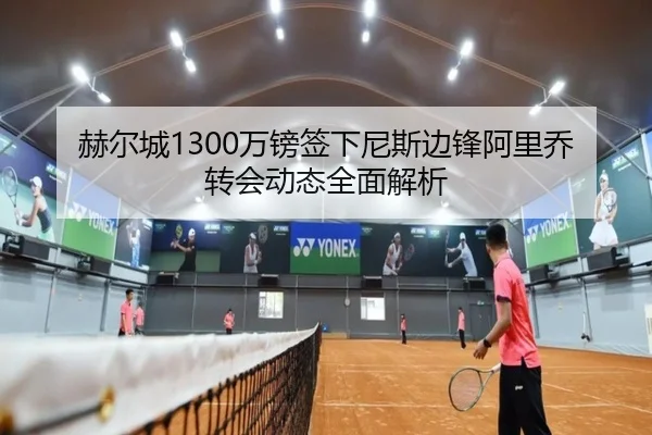 赫尔城1300万镑签下尼斯边锋阿里乔转会动态全面解析